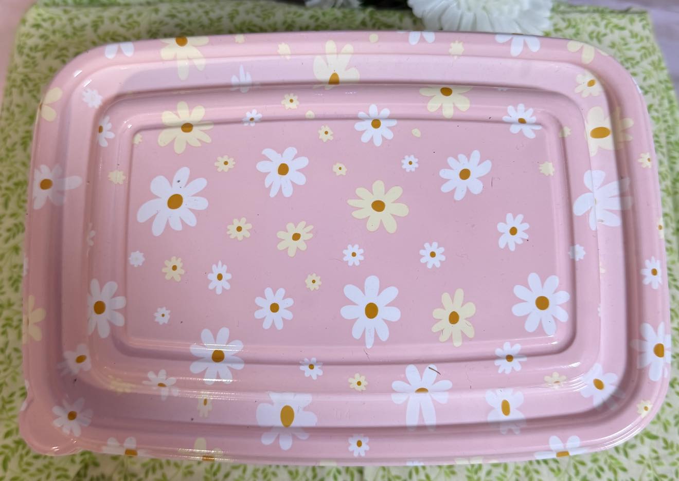 Summer Snack Containers